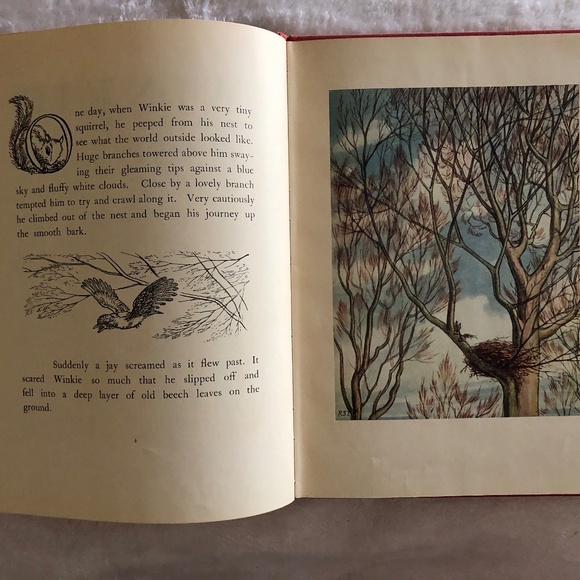 Winkle by Albra Pratten, 1950 - Picture 8 of 13